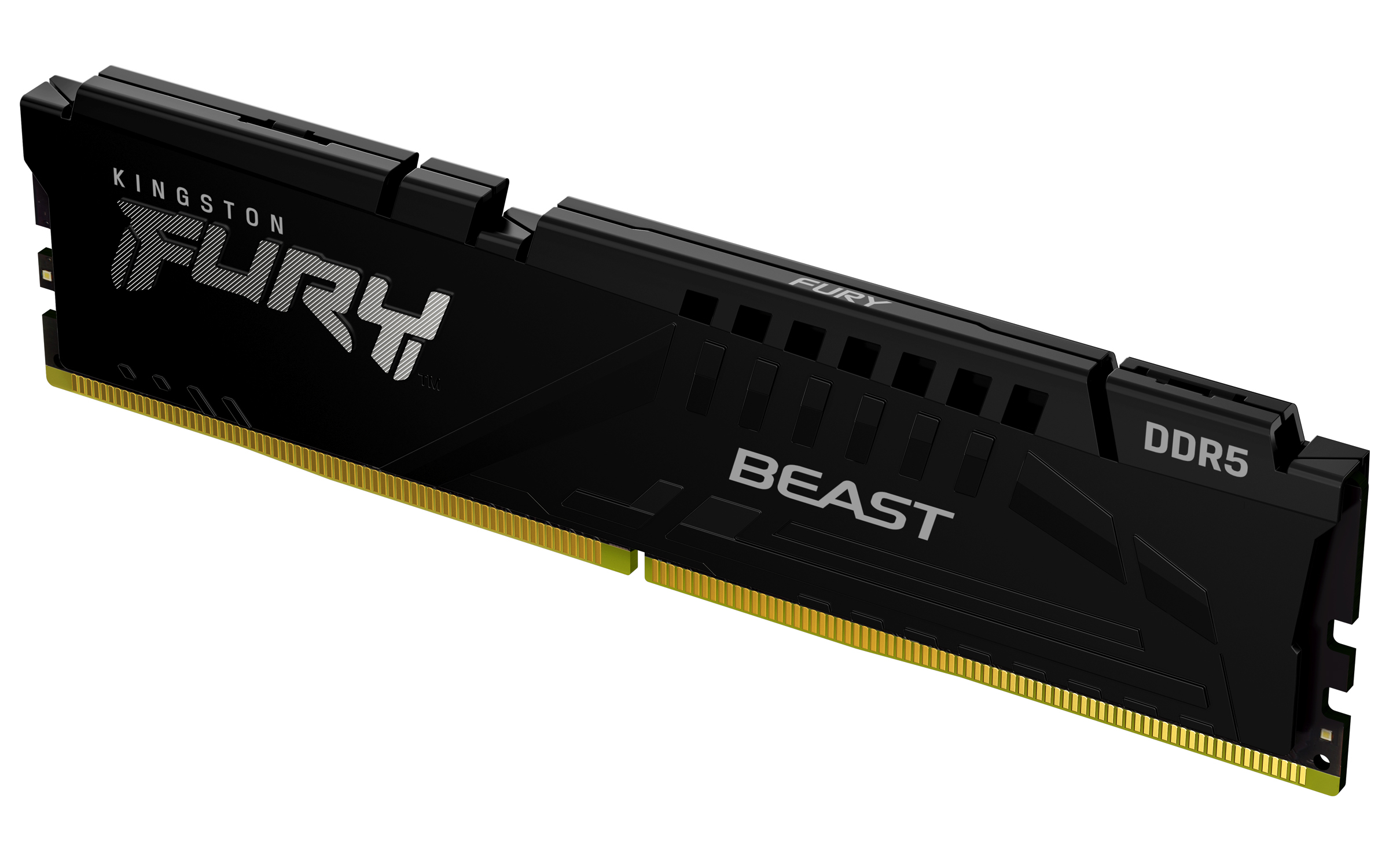 Kingston FURY Beast - DDR5 - Modul - 32 GB