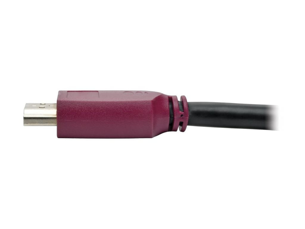 Tripp Eaton Tripp Lite Series 10ft Premium Hi-Speed
