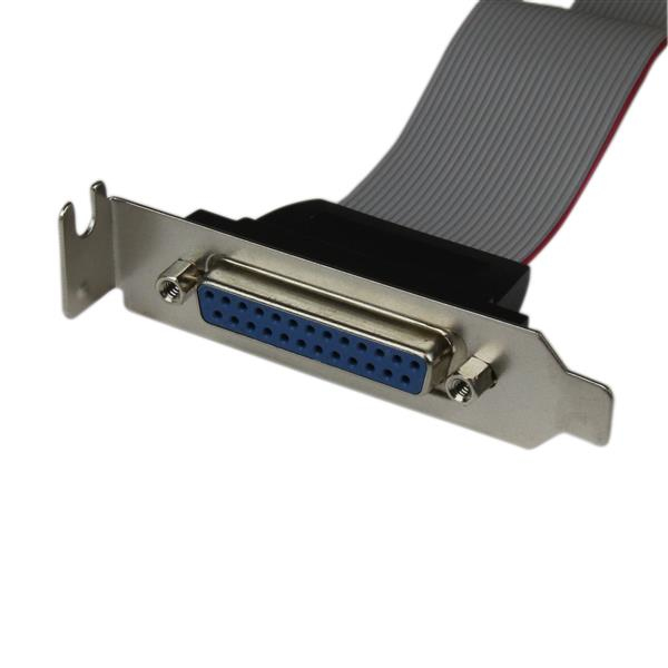 StarTech.com Low Profile IDC 26 (Buchse) auf DB25 (Buchse)