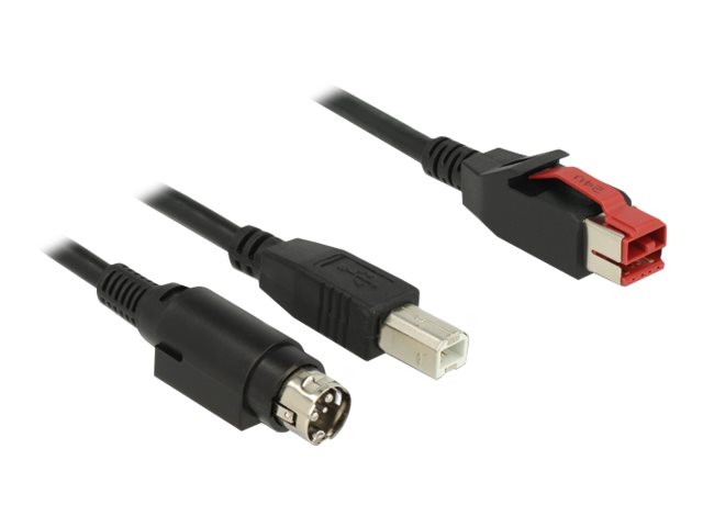 Delock Powered USB-Kabel - USB PlusPower (24 V)