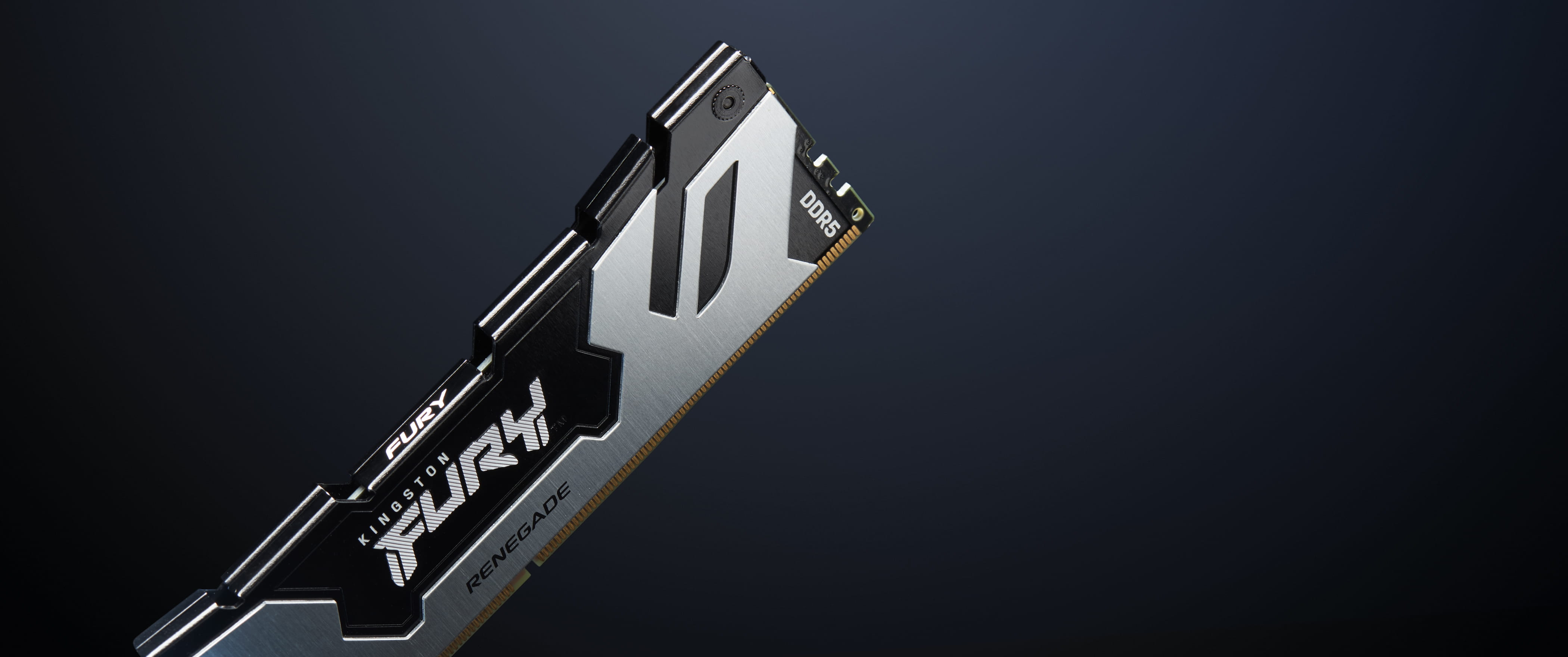Kingston FURY Renegade - DDR5 - Modul - 32 GB