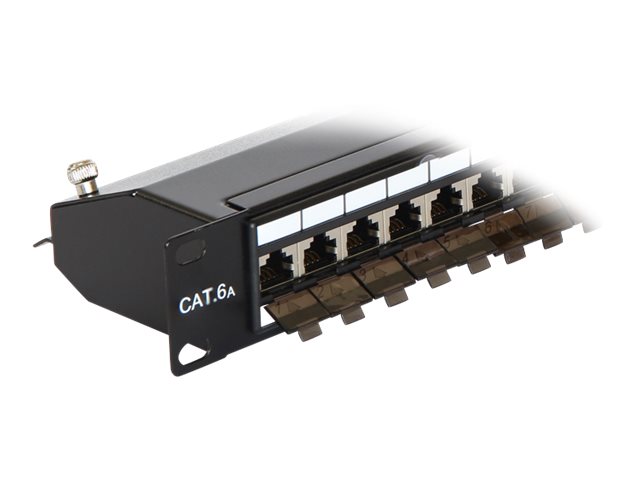 Delock Patch Panel - CAT 6a - RJ-45 X 24 - Jet Black, RAL 9005 - 1U - 48.3 cm (19")
