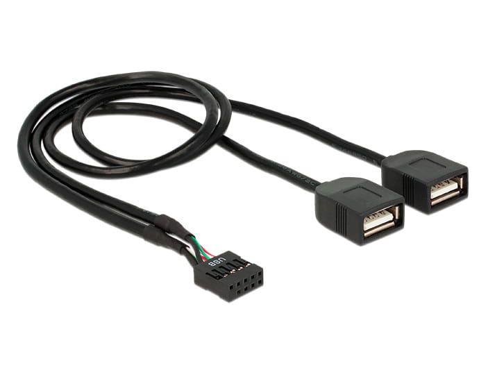 Delock Interner und externer USB-Adapter - 10-poliger USB-Header (W)