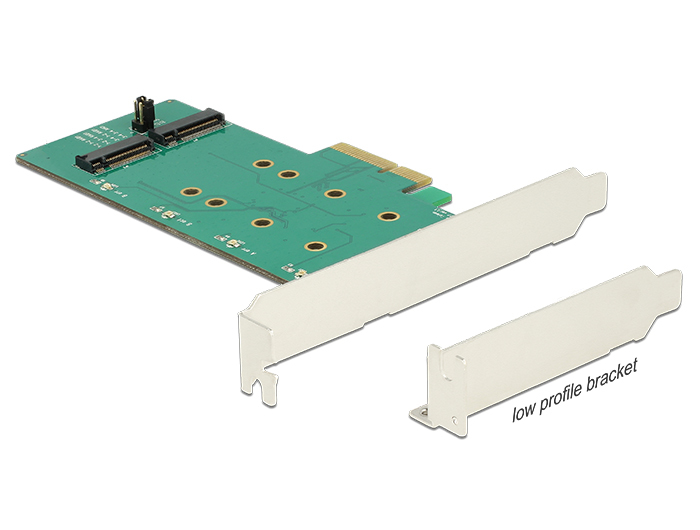 Delock PCI Express Card > 2 x internal M.2 Key