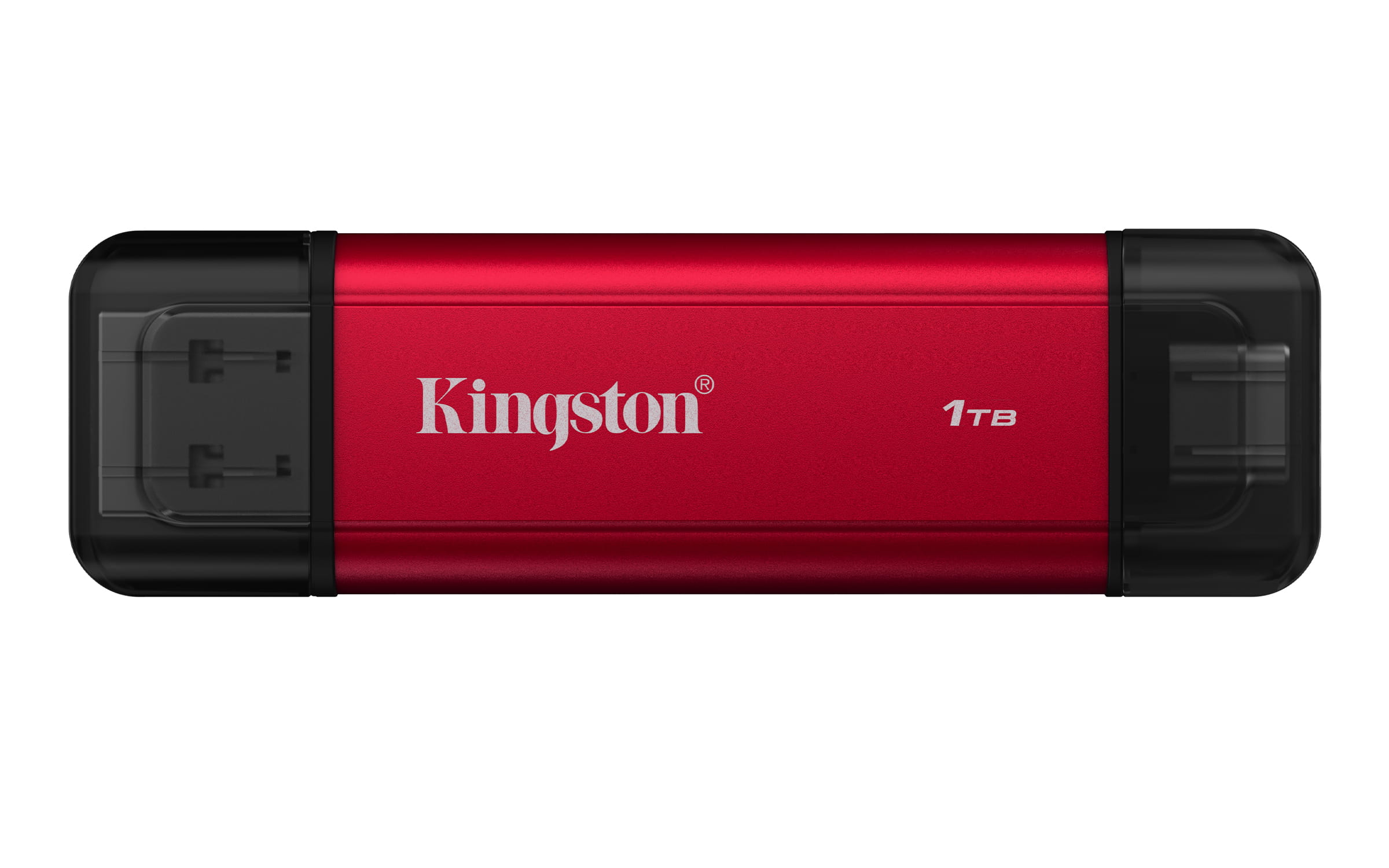Kingston Dual - SSD - 1 TB - extern (tragbar)