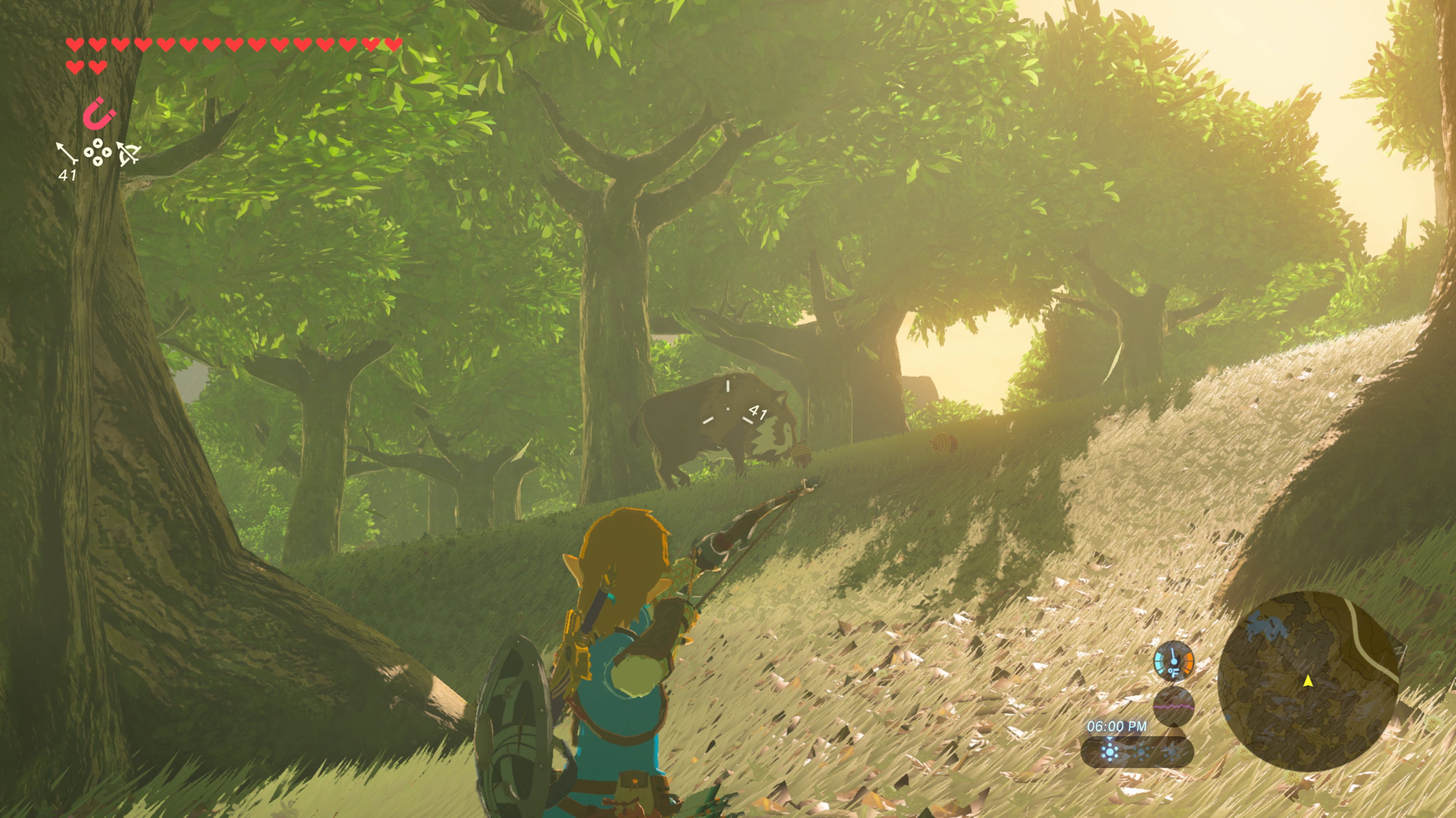 Nintendo The Legend of Zelda Breath the Wild