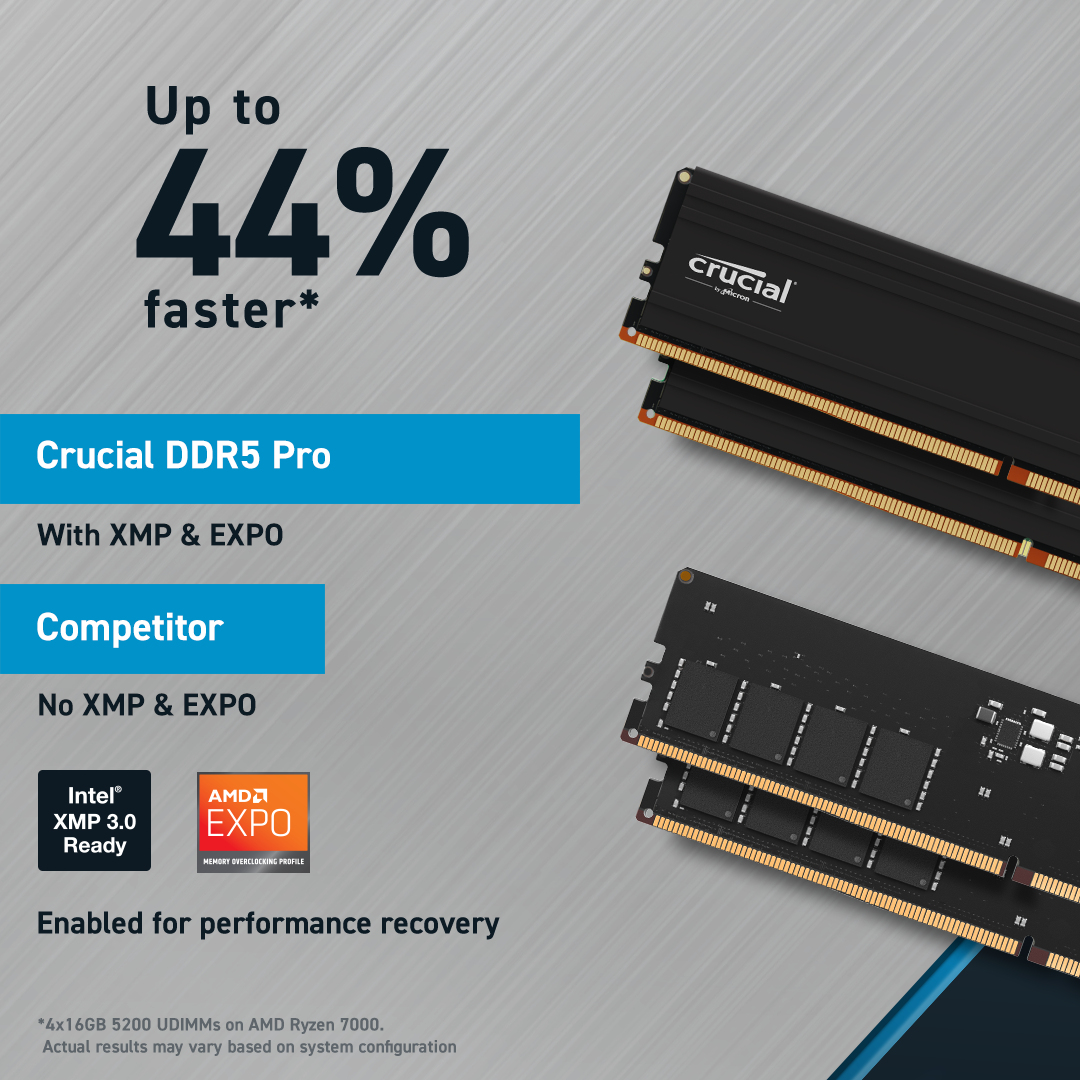Crucial Pro - DDR5 - Modul - 48 GB - DIMM 288-PIN
