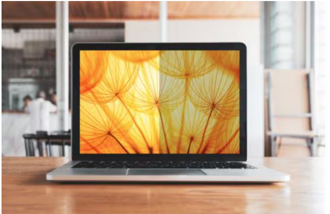 3M Bright Screen Blickschutzfilter für 13.3in Vollbild-Laptop, 16:10, BP133W1E, 33,8 cm (13.3"), 16:10, Laptop, Rahmenloser Blickschutzfilter, Glänzend/Matt, Anti-Glanz