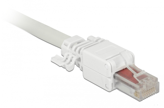 Delock Netzwerkanschluss - RJ-45 (M) - UTP - CAT 6 - (Anzahl pro Packung: 2)