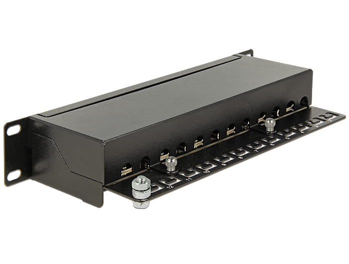 Delock Patch Panel - CAT 6 - RJ-45 X 12 - Schwarz - 1U - 25.4 cm (10")