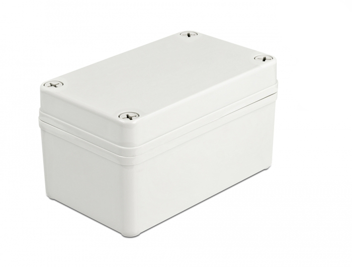 Delock Aufputzbox - Grau