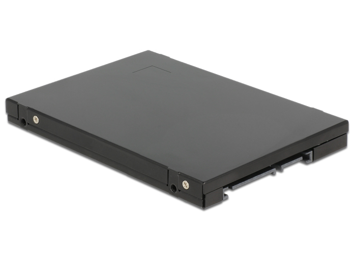 Delock Speichercontroller (RAID) - mSATA