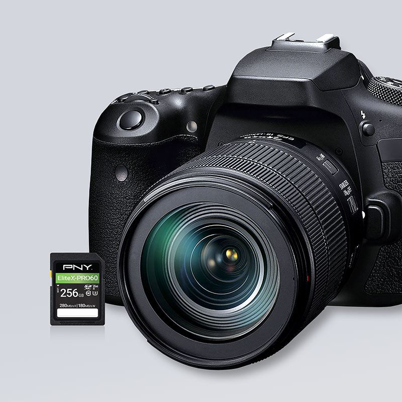 PNY EliteX-PRO60 - Flash-Speicherkarte - 256 GB