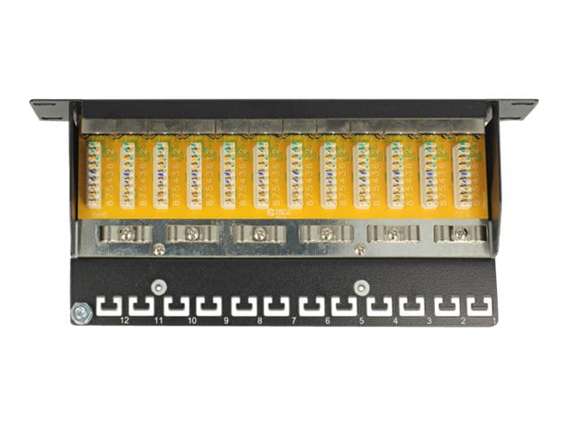Delock Patch Panel - CAT 6 - RJ-45 X 12 - Hellgrau - 1U - 25.4 cm (10")