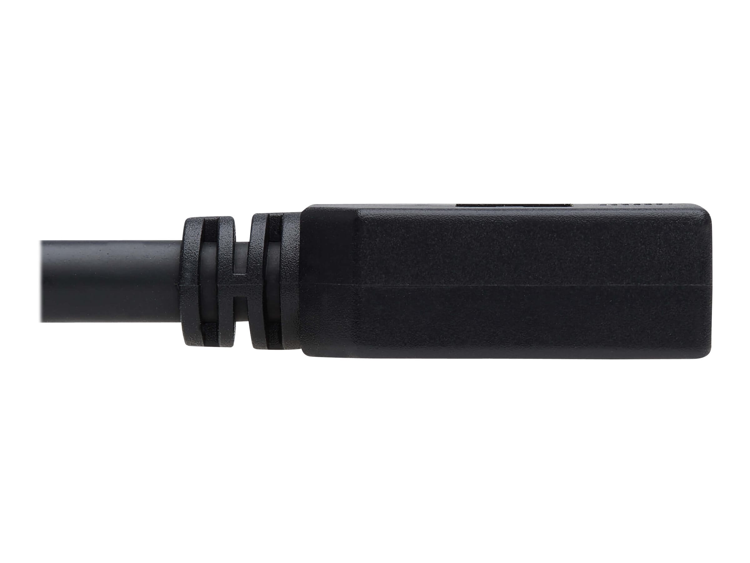 Tripp Eaton Tripp Lite Series DisplayPort Extension Cable with Latch, 4K @ 60 Hz, HDCP 2.2 (M/F)