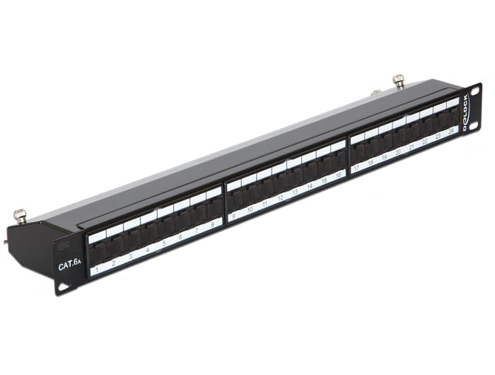 Delock Patch Panel - CAT 6a - RJ-45 X 24 - Jet Black, RAL 9005 - 1U - 48.3 cm (19")