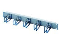Rittal TS IT - Kabelmanagement - RAL 7035 - 1U - 48.3 cm (19")