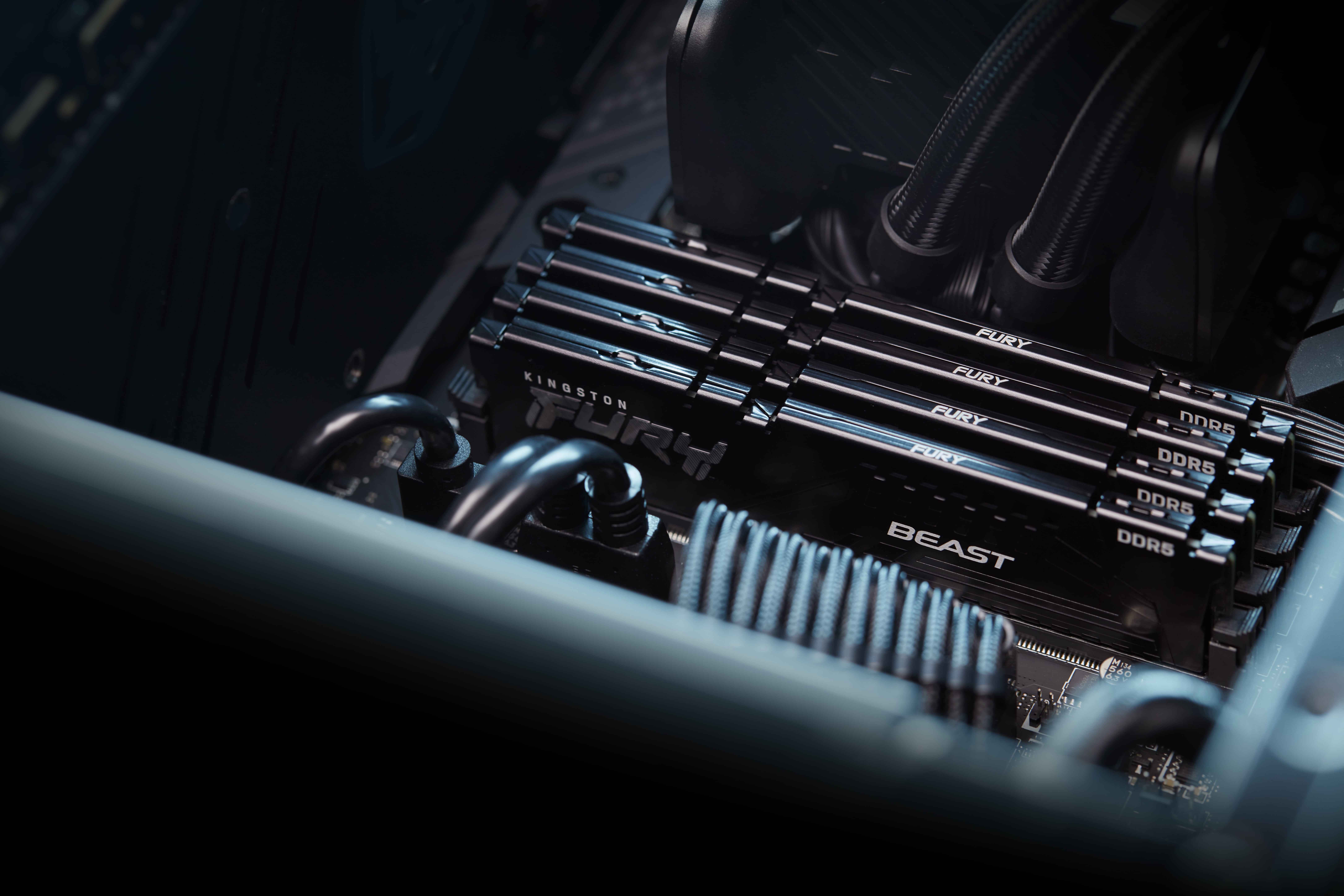 Kingston FURY Beast - DDR5 - Modul - 16 GB