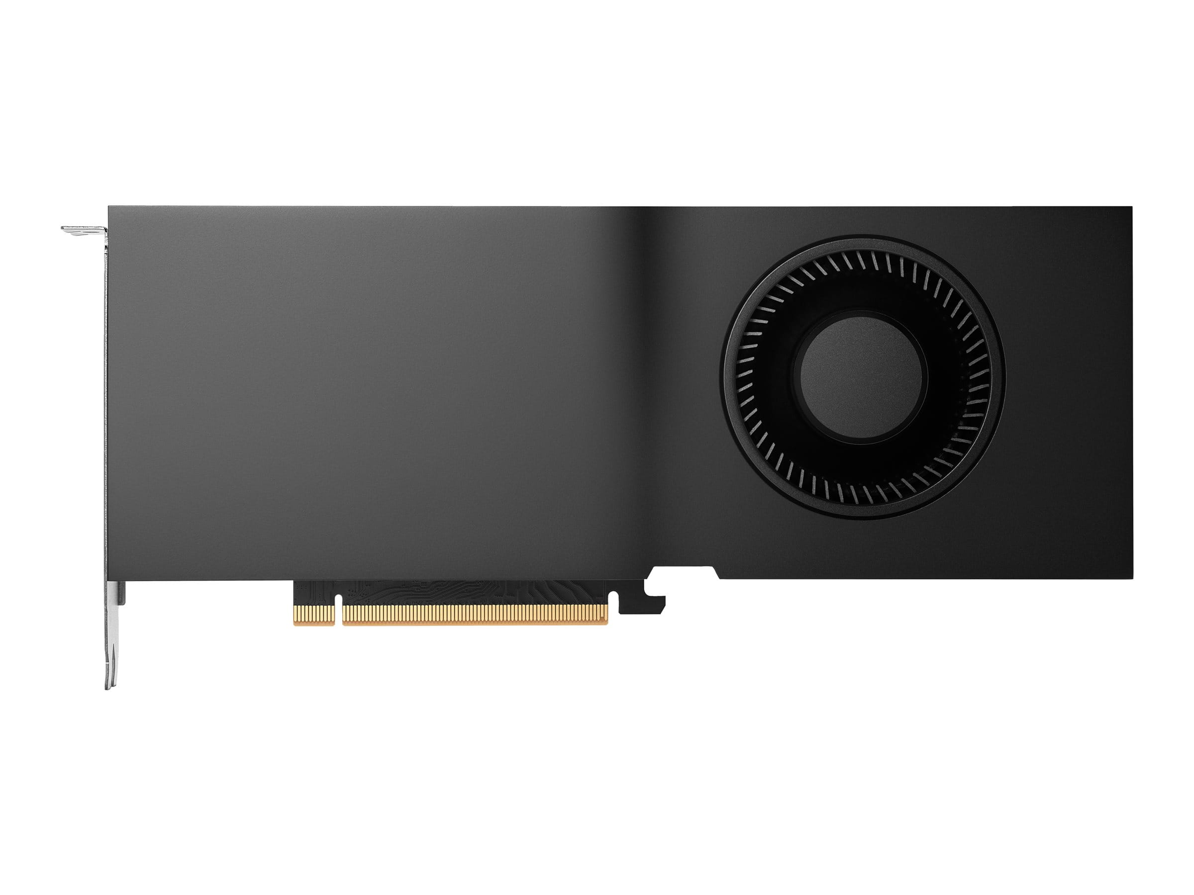 HP NVIDIA RTX - Grafikkarte - RTX 4500 Ada - 24