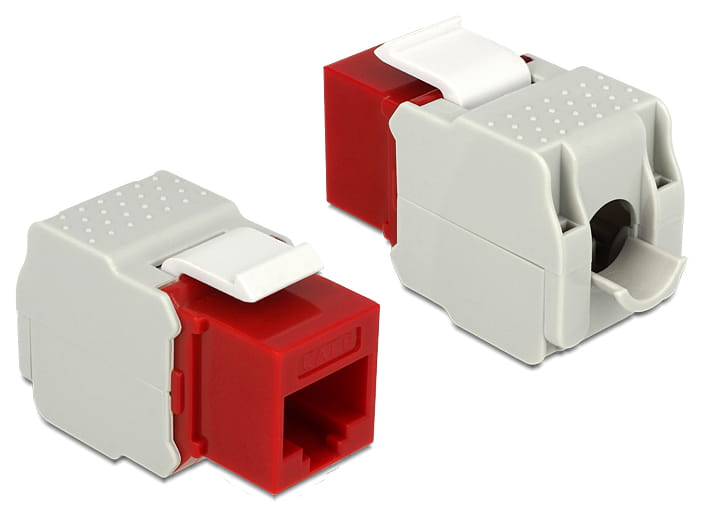 Delock Modulare Eingabe - CAT 6 - UTP - RJ-45