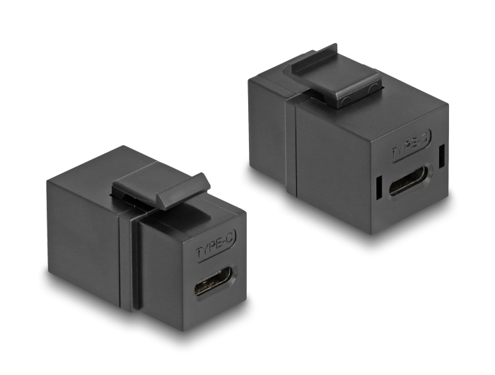 Delock Modularer Einschub (Kopplung) - weiblich