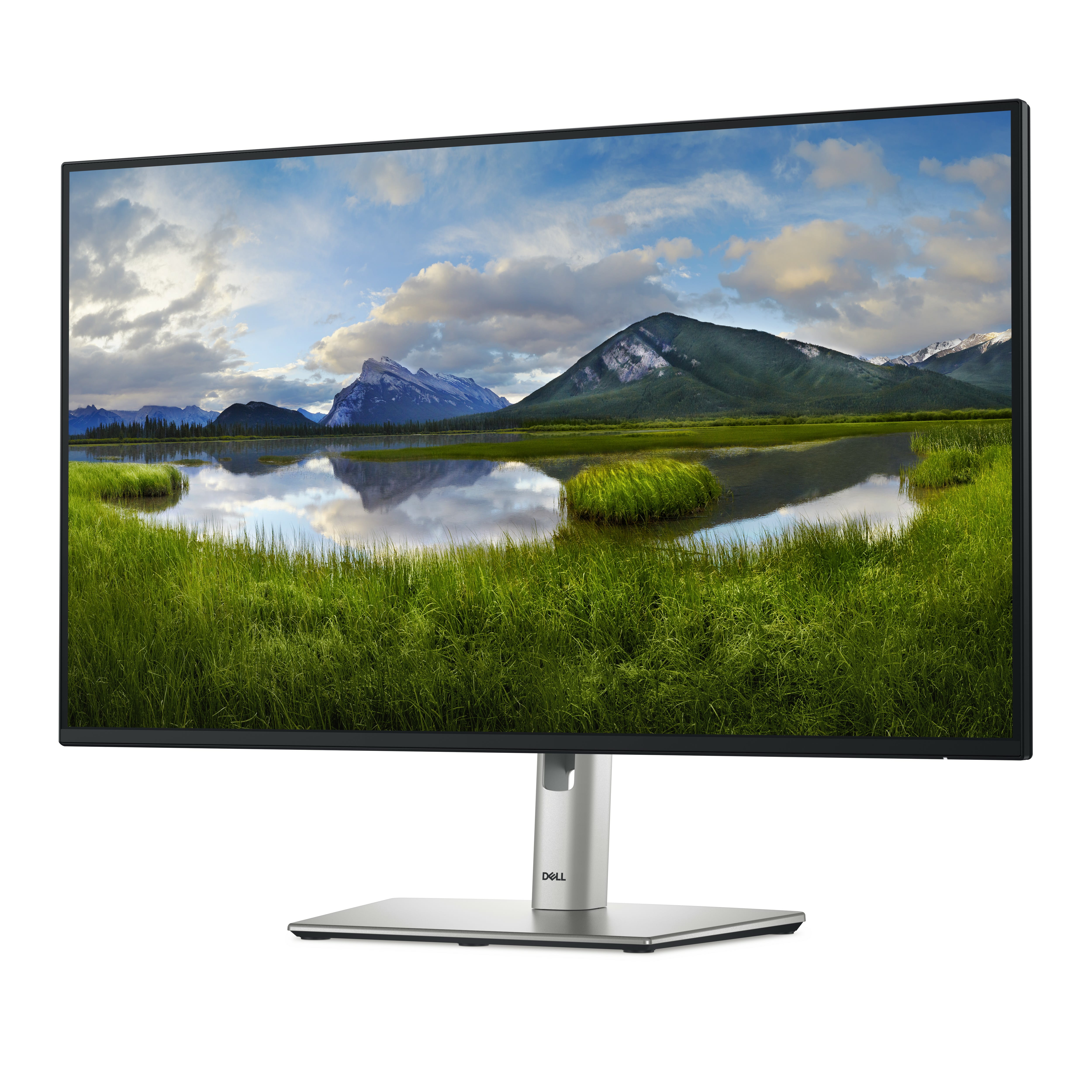 Dell P2725H - LED-Monitor - 68.6 cm (27") - 1920 x 1080 Full HD (1080p)