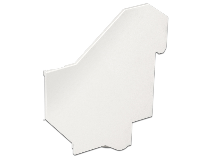 Delock Keystone-Adapterabdeckung für DIN-Schiene