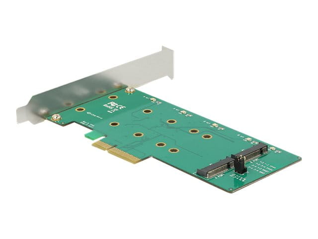 Delock PCI Express Card > 2 x internal M.2 Key