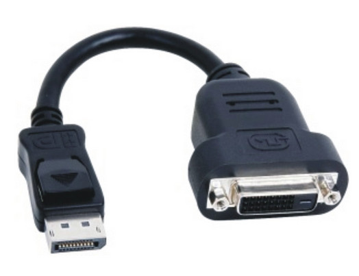 Fsas Technologies Fujitsu - Videoadapter - DisplayPort zu DVI-D
