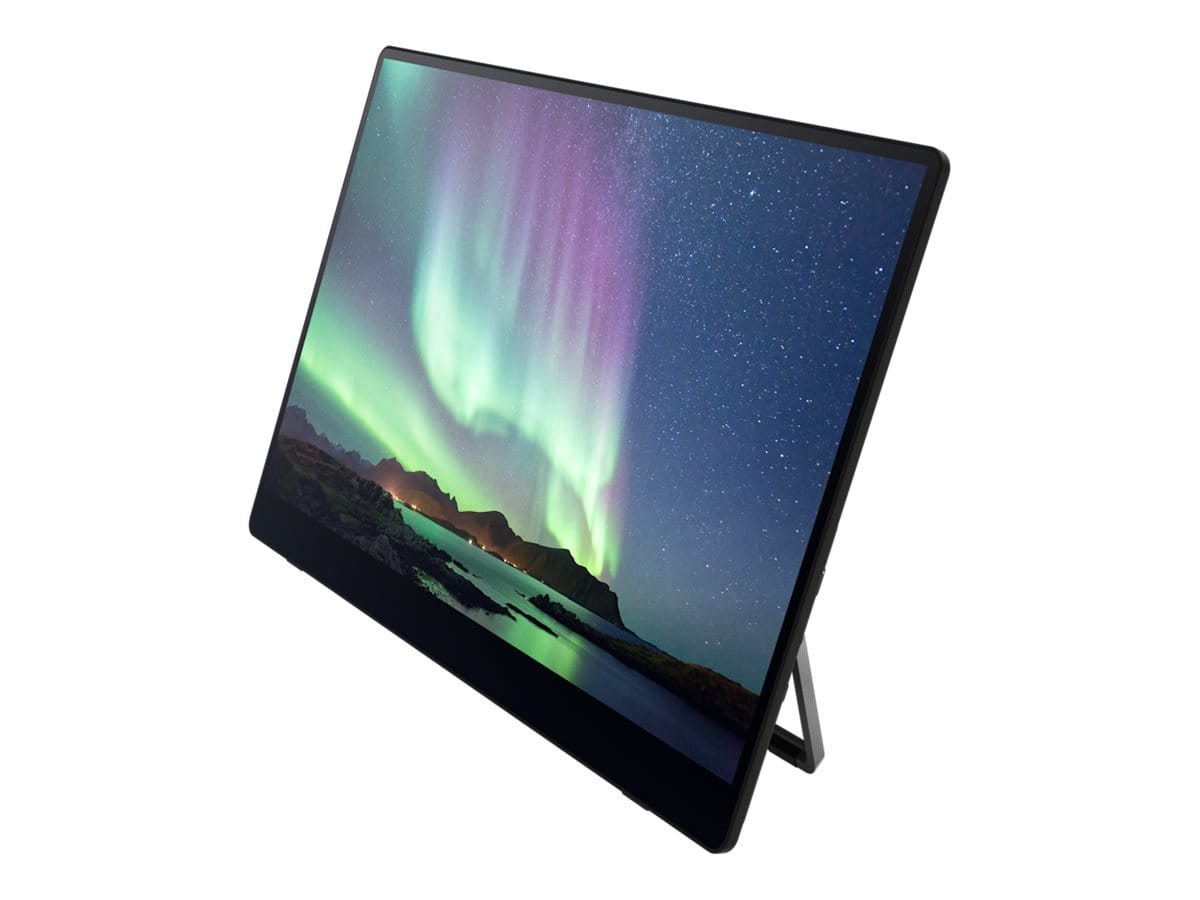 Fsas Technologies Ricoh 150BW - OLED-Monitor - 39.6 cm (15.6") (16" sichtbar)