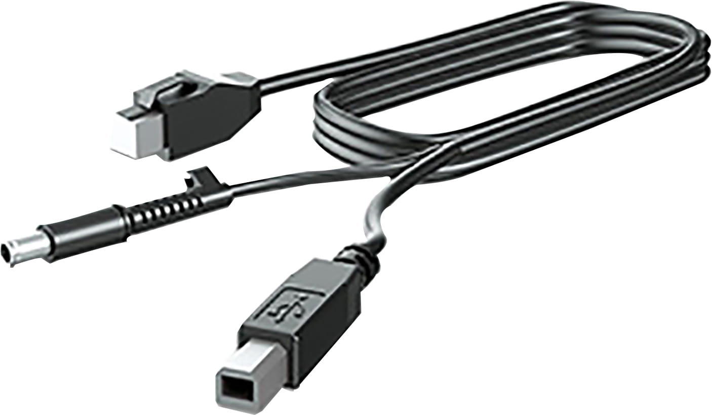 HP  DisplayPort-Kabel - DisplayPort (M) zu DisplayPort (M)