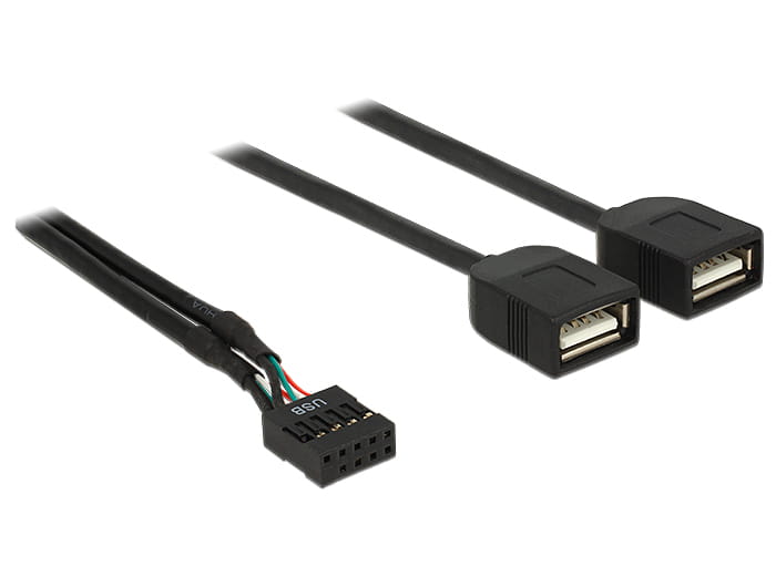Delock Interner und externer USB-Adapter - 10-poliger USB-Header (W)