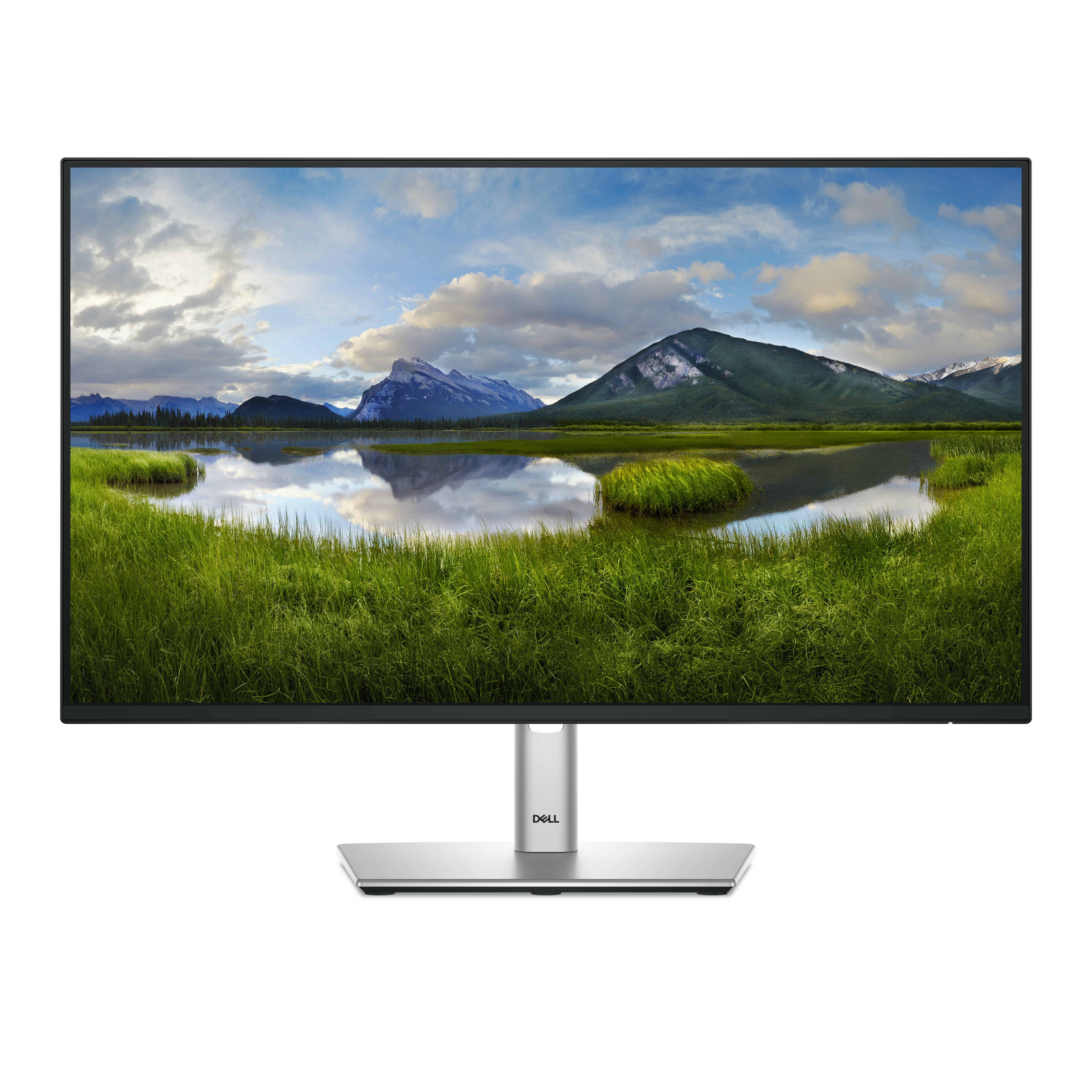 Dell P2425H - LED-Monitor - 61 cm (24") (23.81" sichtbar)