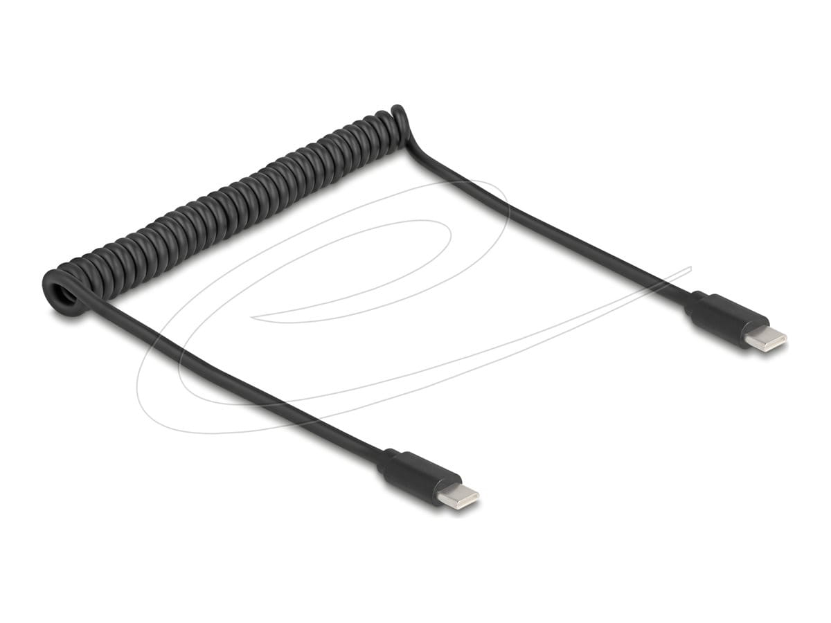 Delock USB-Kabel - USB-C (M) zu USB-C (M)